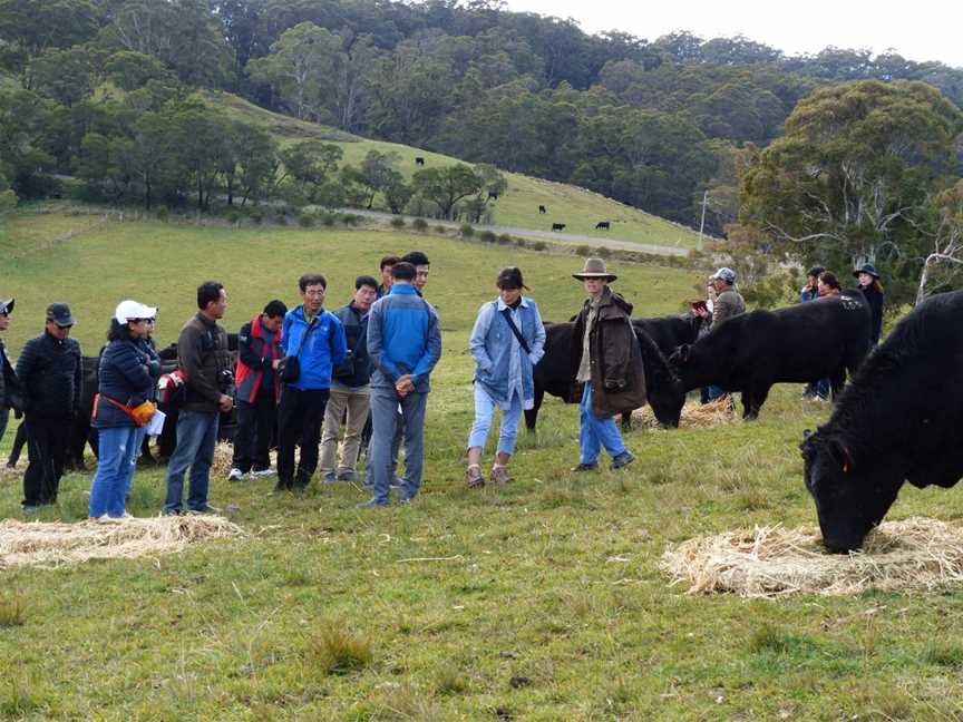 The Pines Pastoral - Walking Tour, Moss Vale, NSW