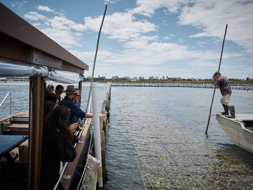 Farm to Plate Oyster Tours, Tuncurry, NSW