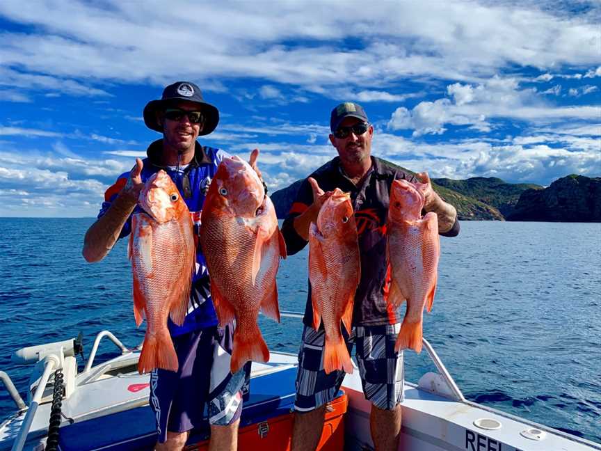 Reel Fishing CQ, Cawarral, QLD