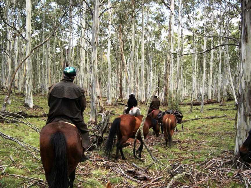 Reynella Rides, Adaminaby, NSW