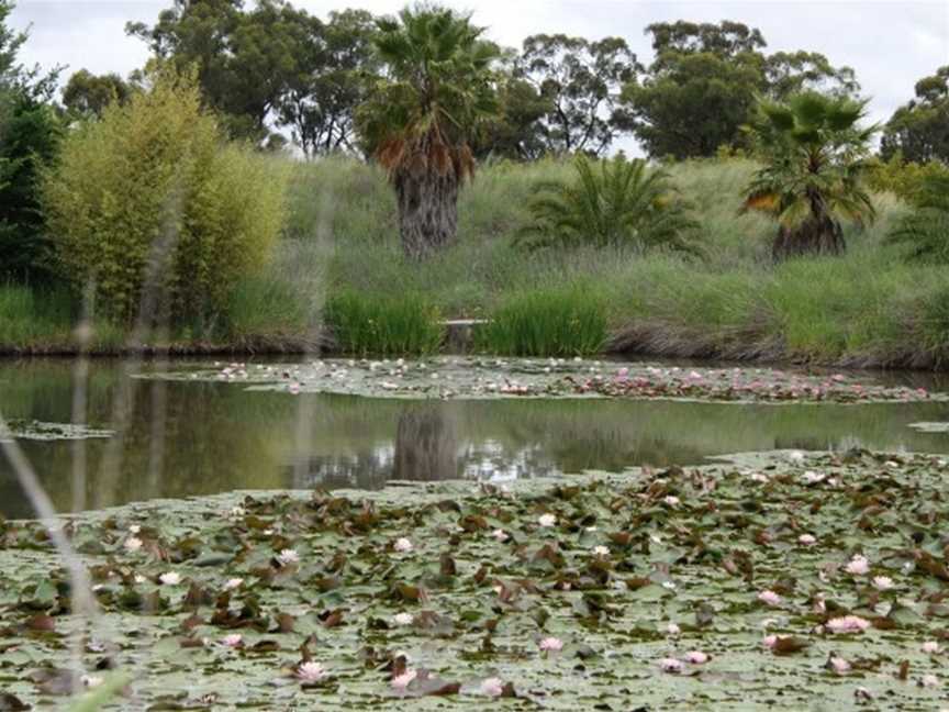 Earthcare Farm Australia -Farm Experience Walk, Browns Plains, VIC