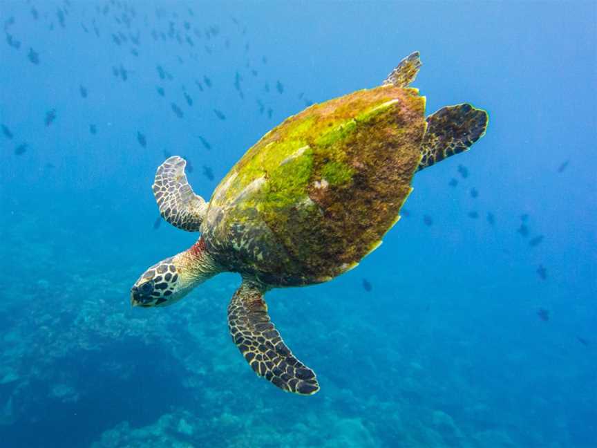 Chris Bray Photography Christmas Island Tour, Christmas Island, WA