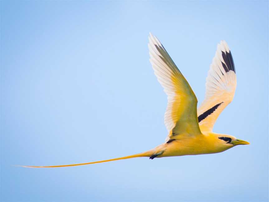 Chris Bray Photography Christmas Island Tour, Christmas Island, WA