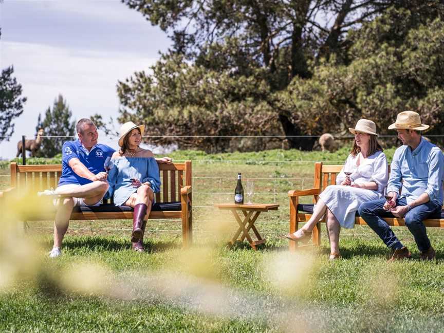 Paisley Vineyard Experiences, Angaston, SA