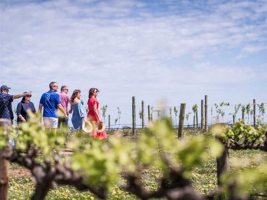 Paisley Vineyard Experiences, Angaston, SA