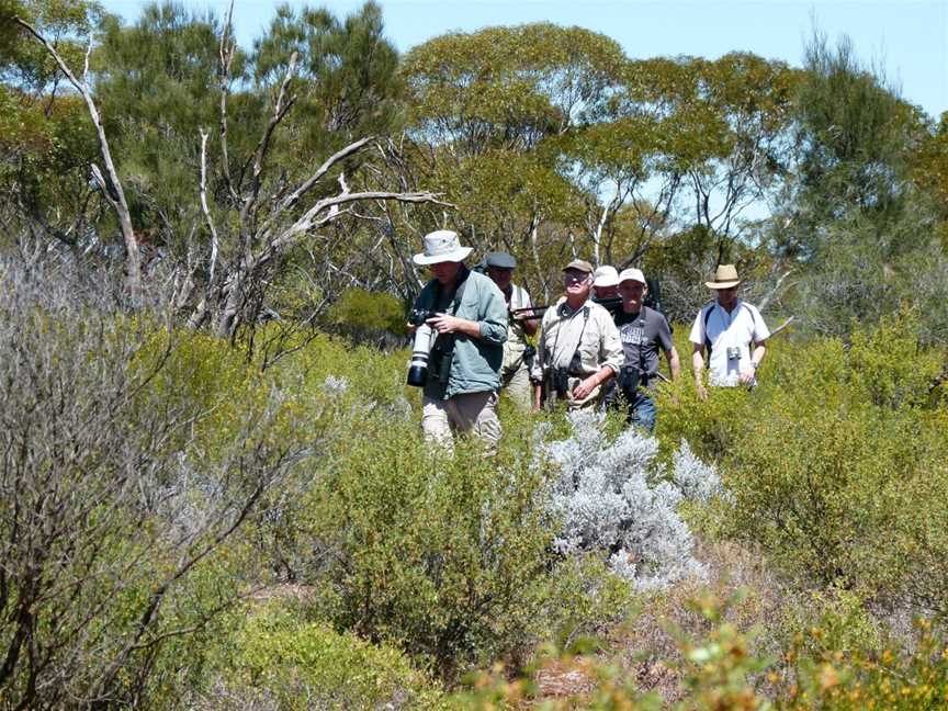 Bellbird Tours Pty Ltd, Berri, SA