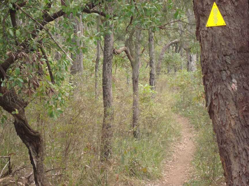 Rock and Roll Mountain Biking Tours, Spring Hill, QLD