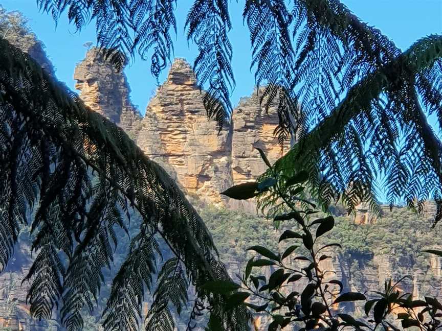 Hiking in the Blue Mountains...by Wolfgang & Hedi, Bullaburra, NSW