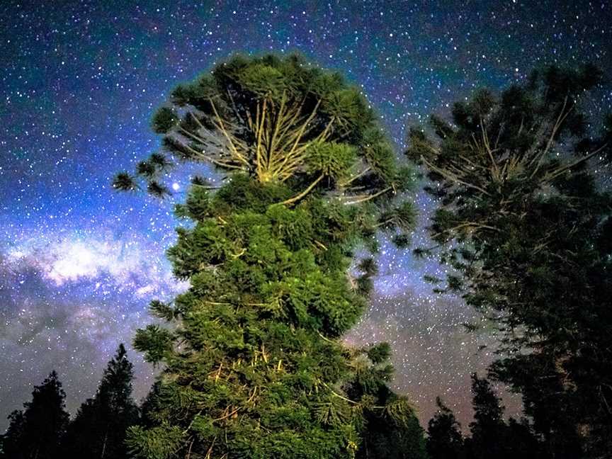 Bunya Mountains Astrophotography Experience, Bunya Mountains, QLD