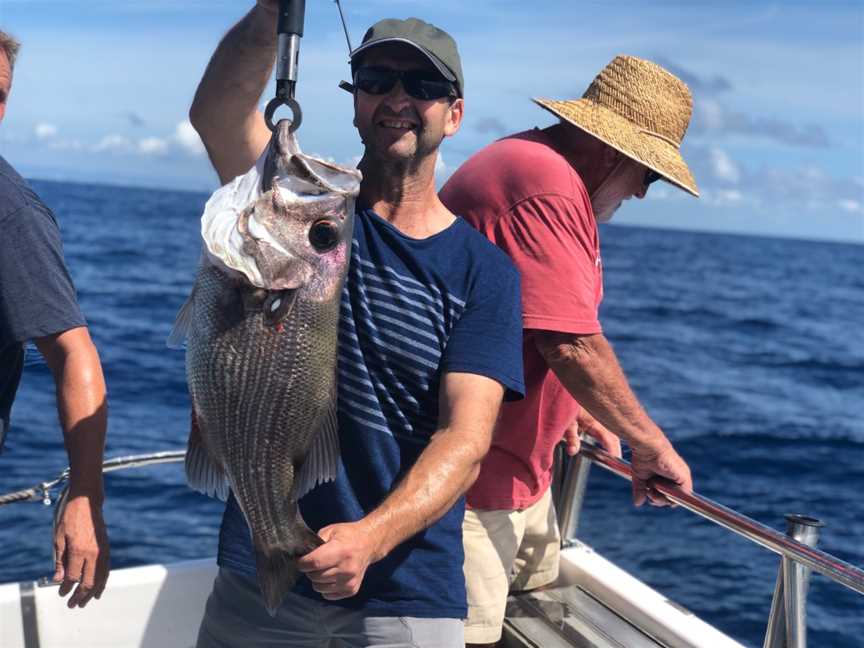 Cushy Fishing Charters - Tweed Heads, Tweed Heads, NSW