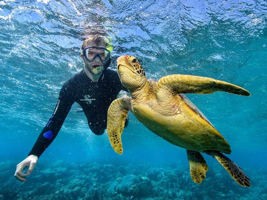 Frankland Island Reef Cruises, Cairns City, QLD