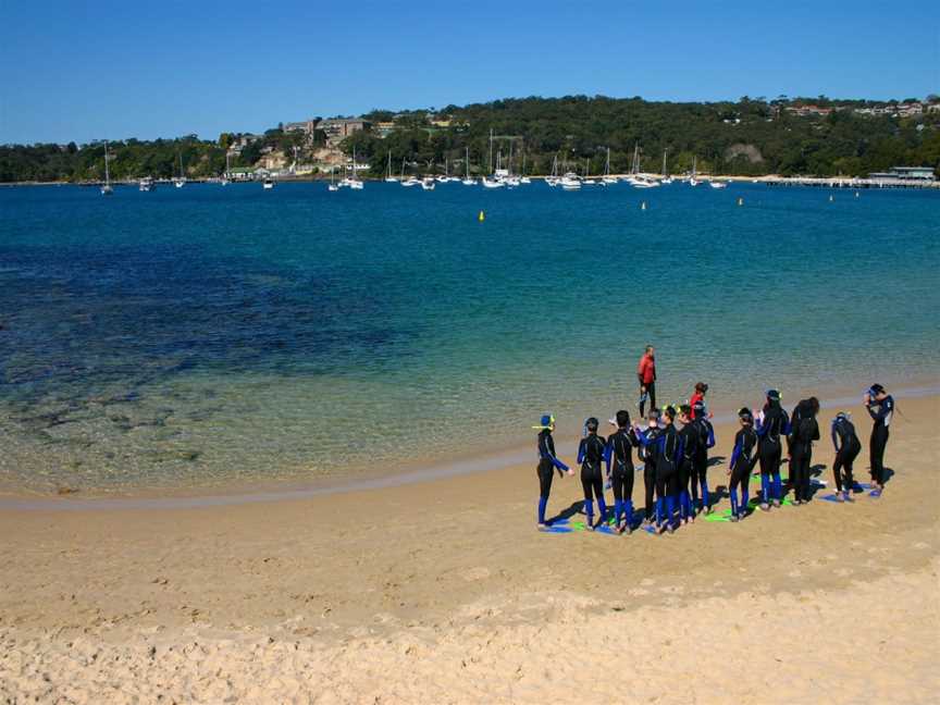 Coastal Explorer, Berry, NSW