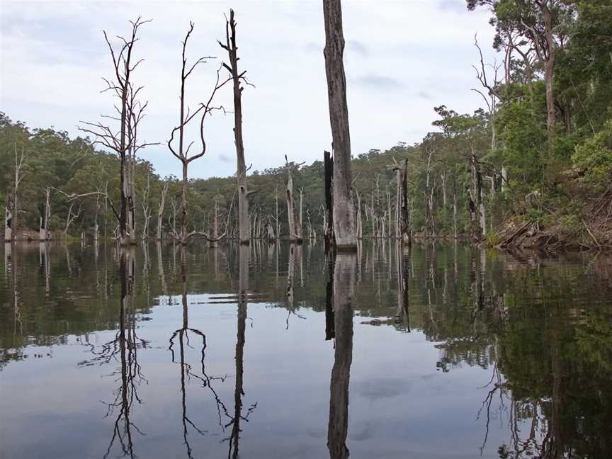 Sydney Kayak, Blacktown, NSW