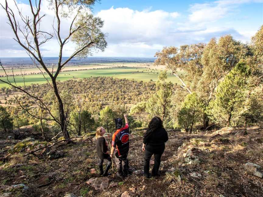 Bundyi Aboriginal Cultural Knowledge, East Wagga Wagga, NSW