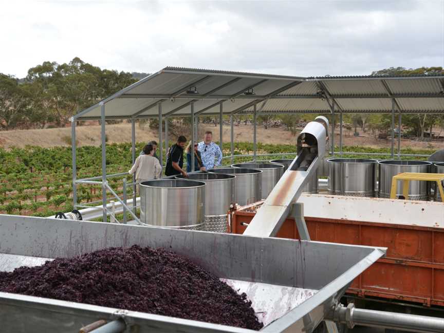 Kalleske Wines Winery & Vineyard Tours, Greenock, SA