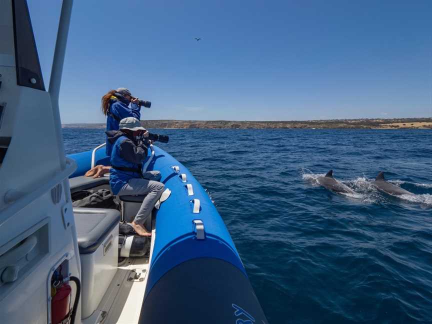 Research and Discovery Coastal Tours, Kangaroo Island, Stokes Bay, SA