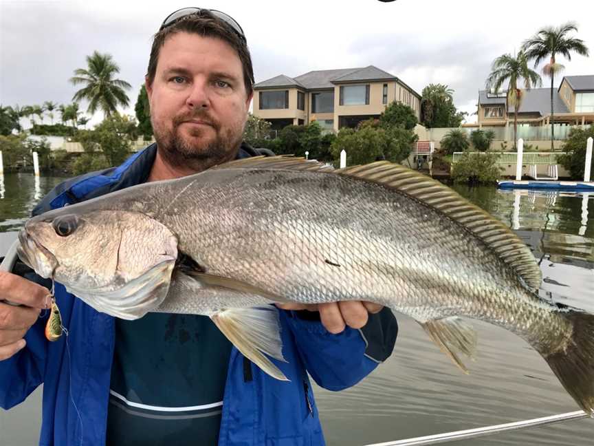 Gold Coast River Charters, Surfers Paradise, QLD