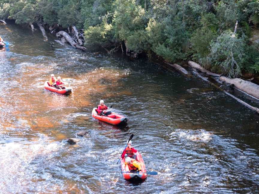 Tahune Adventures - Twin Rivers Adventure, Tours in Geeveston