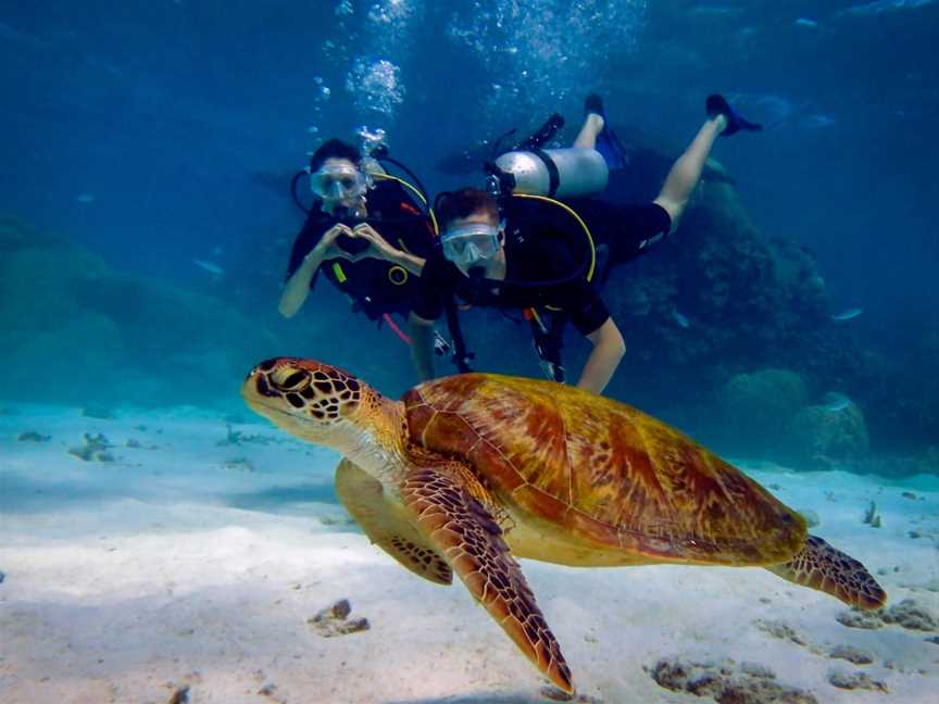 Blue Dive, Port Douglas, QLD