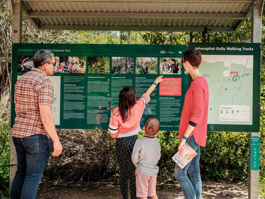 The Cheeky Fox Trail, Kinglake Central, VIC