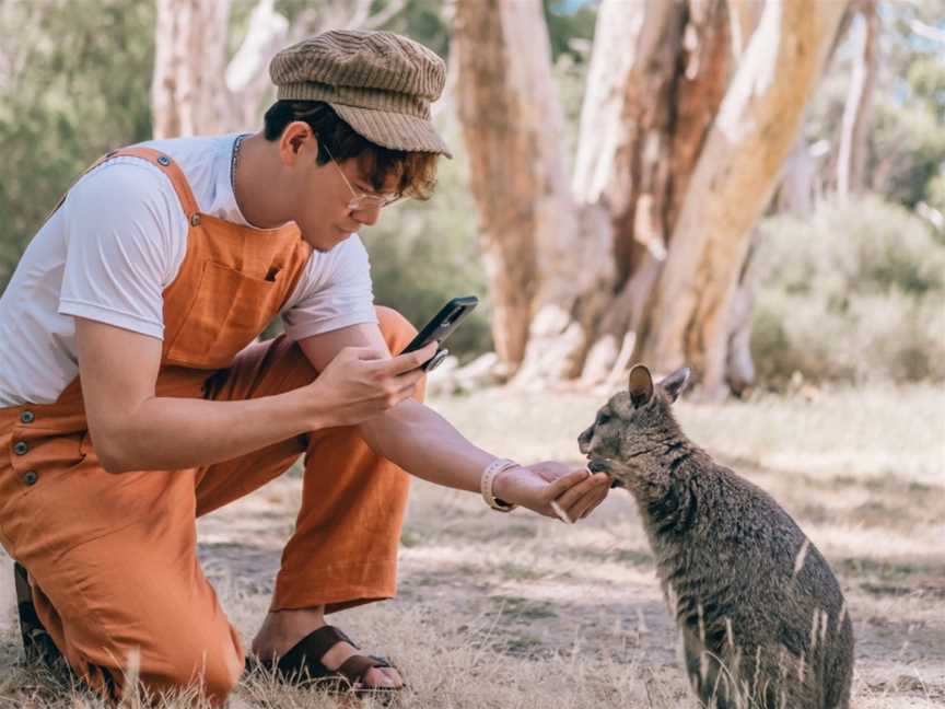 Cleland Wildlife Park Experiences, Crafers, SA