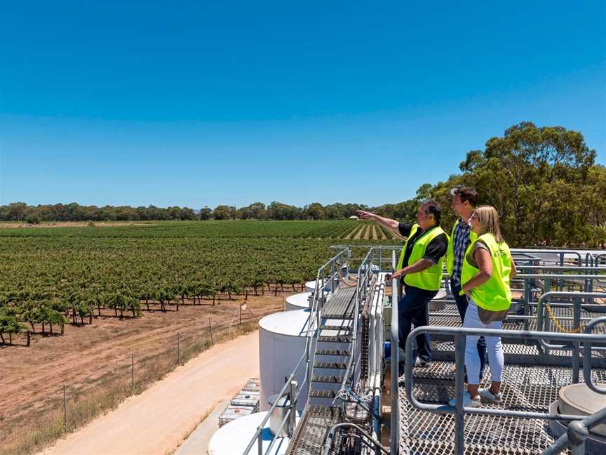 Bleasdale Vineyards Experiences, Langhorne Creek, SA