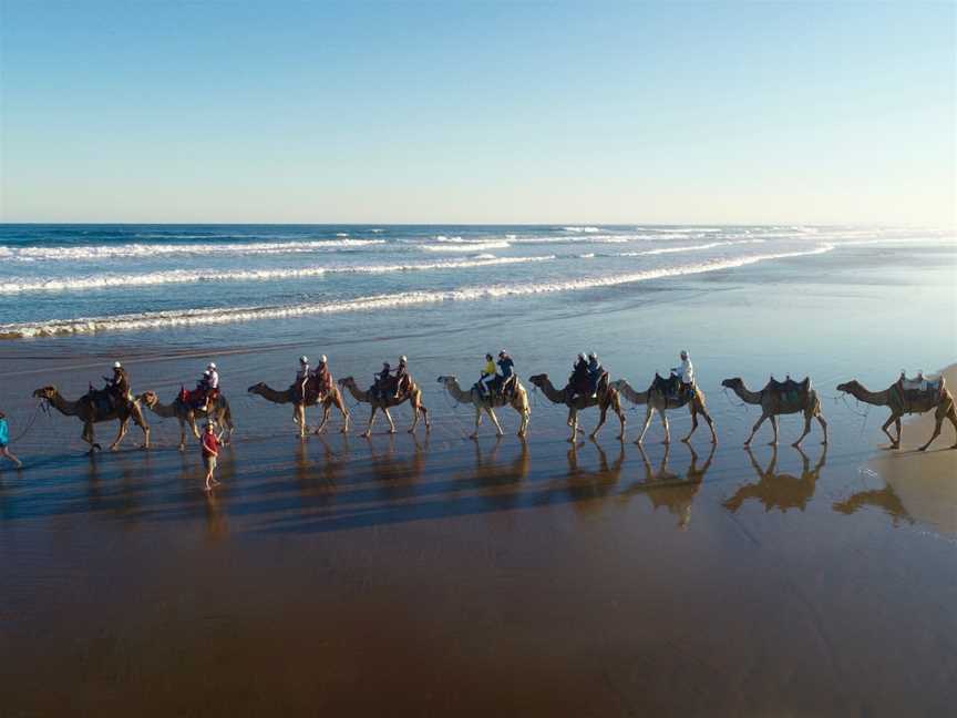 Oakfield Ranch Camel Rides, Anna Bay, NSW