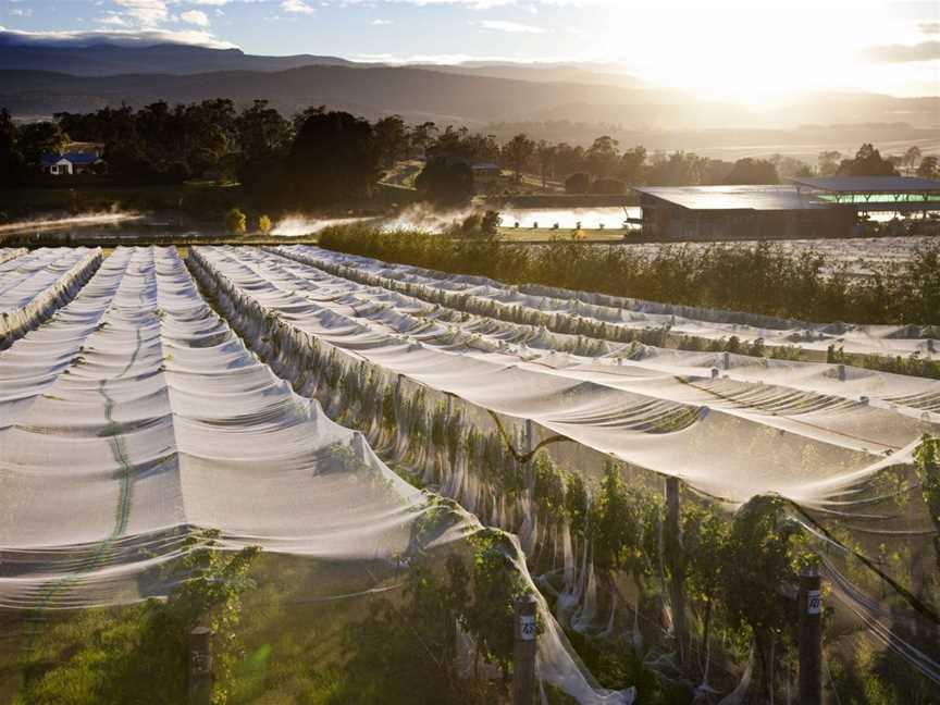 Josef Chromy - Go Behind The Label. Tour, tasting and lunch, Relbia, TAS