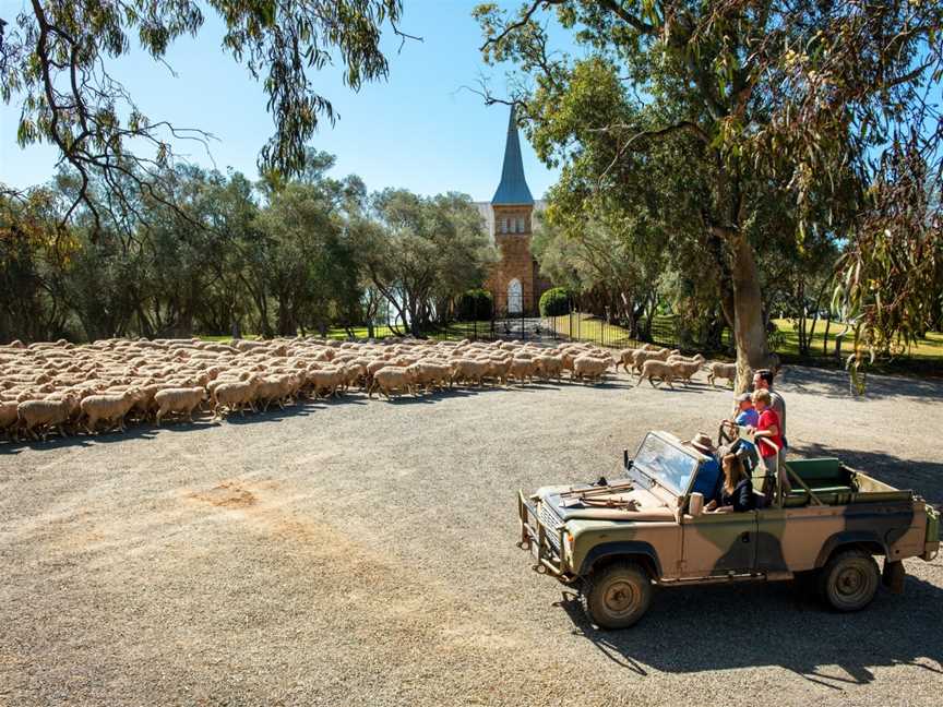 Bungaree Station Tours, Bungaree, SA