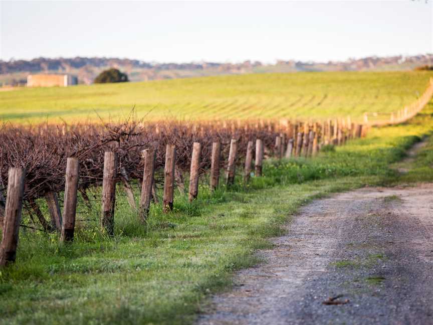 Woodstock Winemaker's Tour, Mclaren Flat, SA