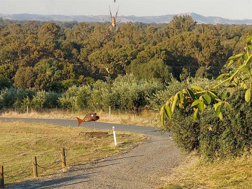 Grove & Sculpture Walk at Gooramadda Olives, Gooramadda, VIC