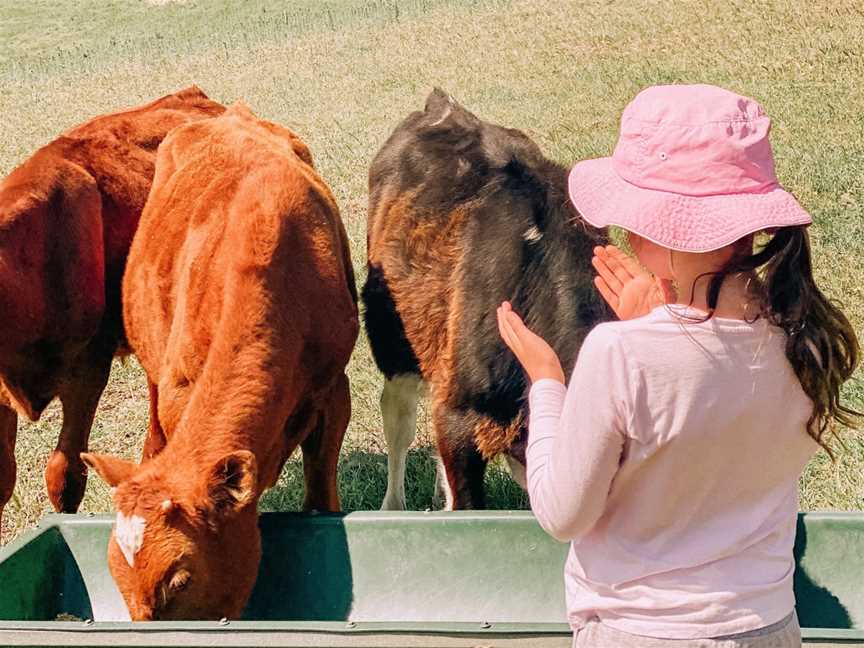 Lessismore Farm Experiences, Myponga Beach, SA