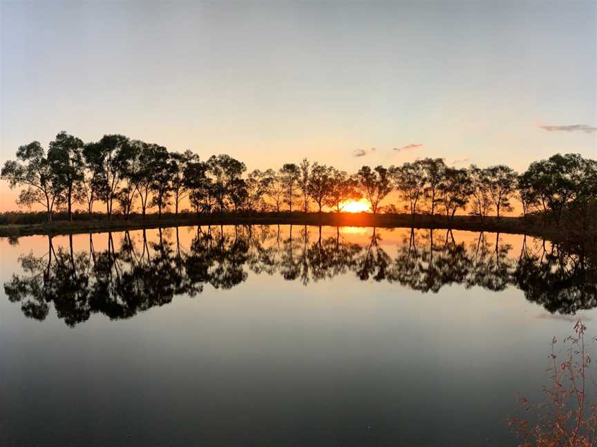 Narrabri Fish Farm, Jacks Creek, NSW