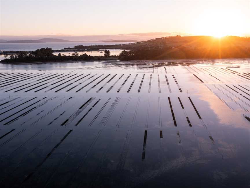 Tasmanian Oyster Company, Hobart, TAS