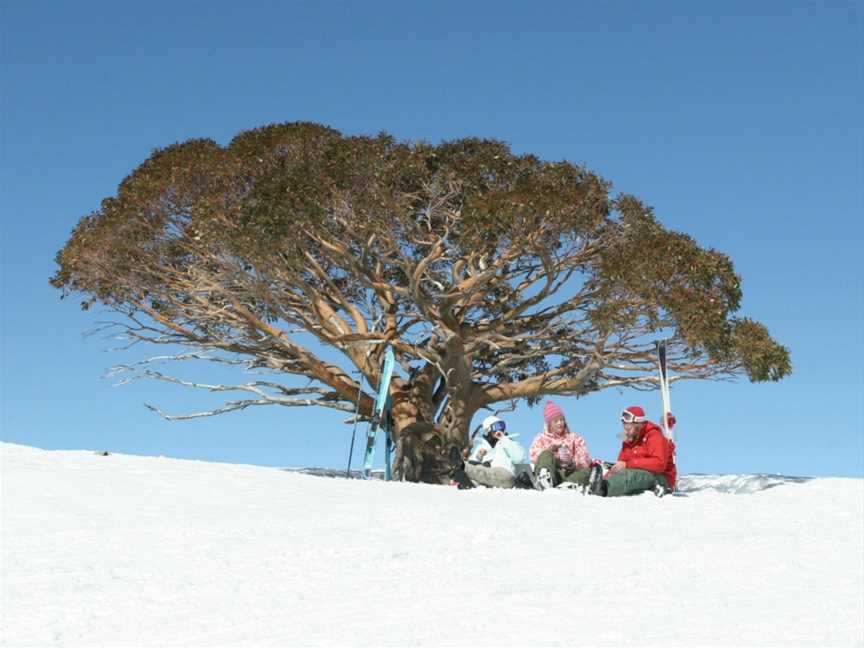 Stirling Experience, Mirimbah, VIC