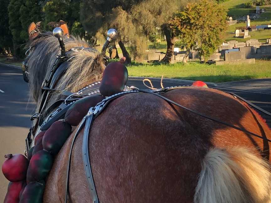 Almost Heaven Clydesdales, Sheffield, TAS