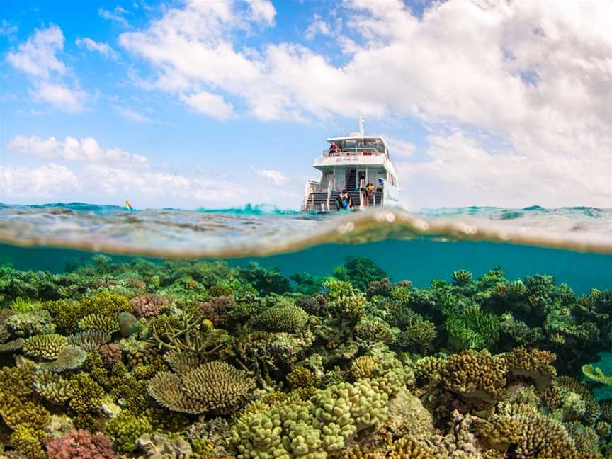 Wavelength Reef Cruises, Port Douglas, QLD