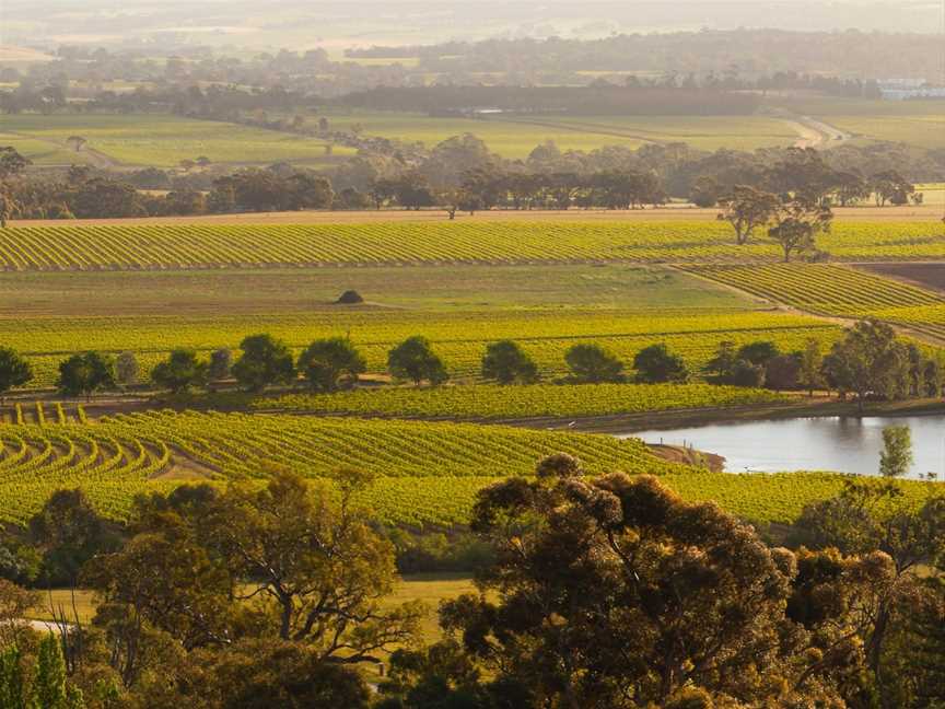 Barossa Taste Sensations, Angaston, SA