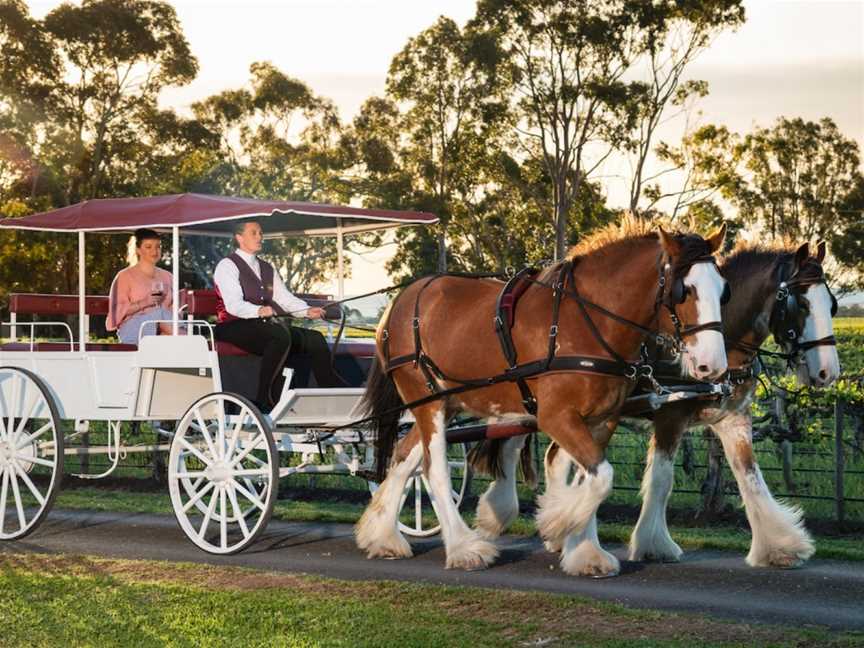 Carriage of Occasion Horse Drawn Wine Tour, Langhorne Creek, SA