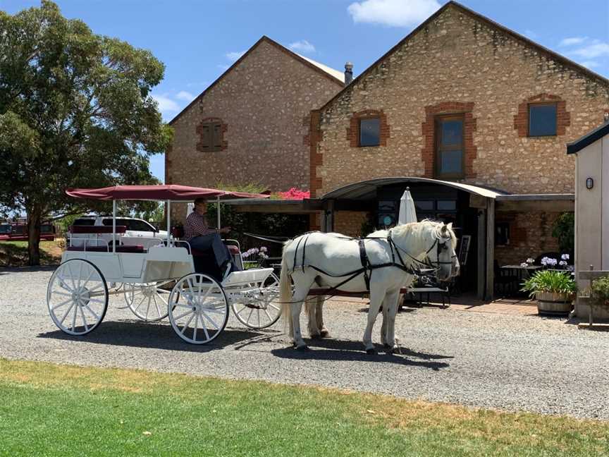 Carriage of Occasion Horse Drawn Wine Tour, Langhorne Creek, SA