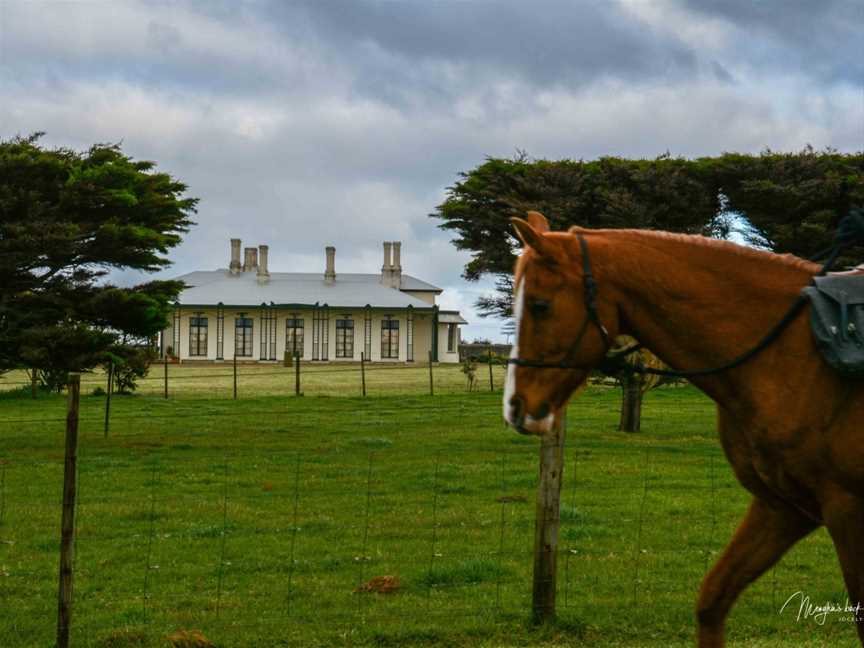 Australian Horse Adventures Tasmania, Deloraine, TAS