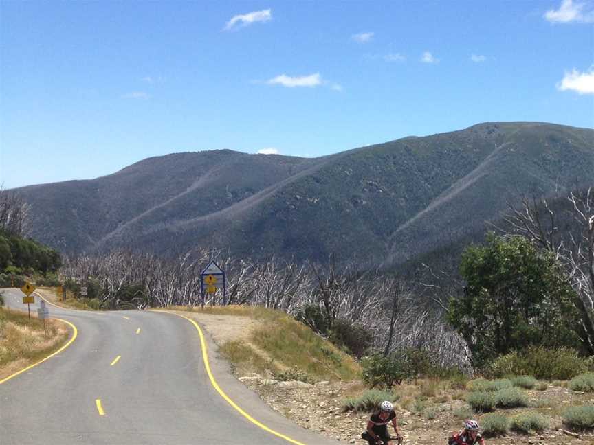 Wide Open Road Cycling Tours, Brunswick, VIC