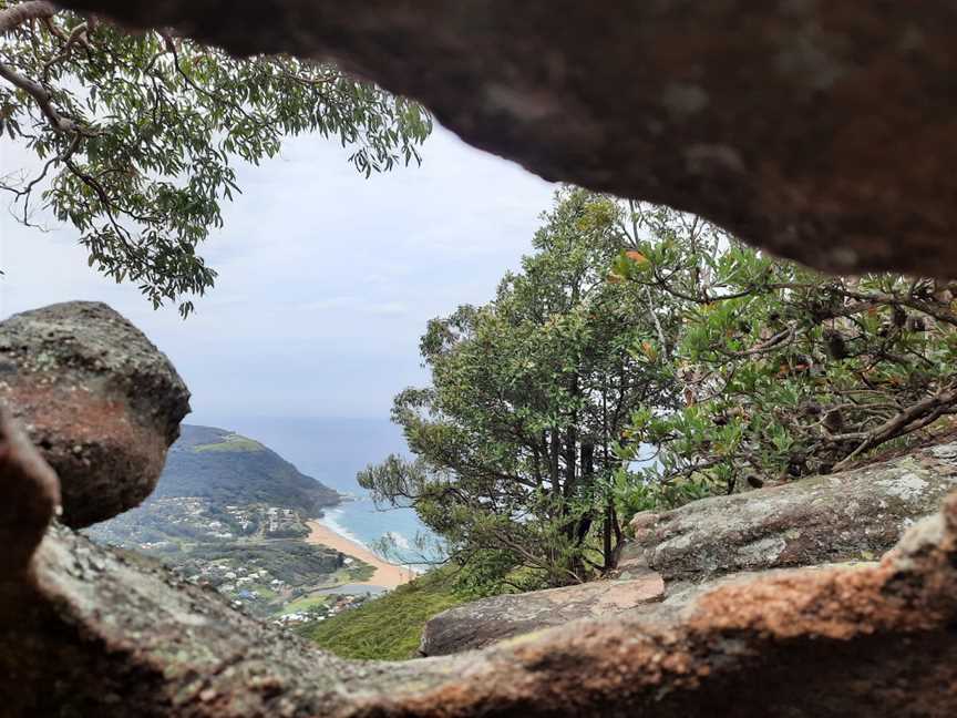 Bushwalk the 'Gong, Mangerton, NSW