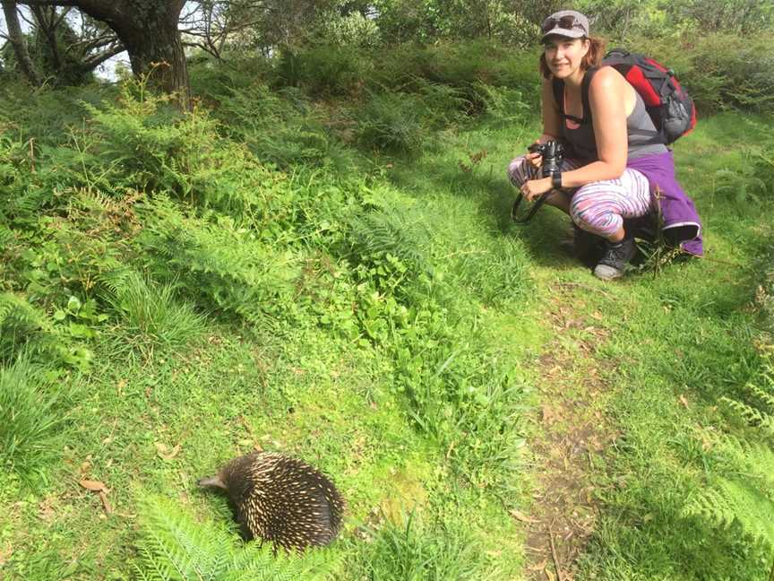 Hike 2 Camp, Apollo Bay, VIC