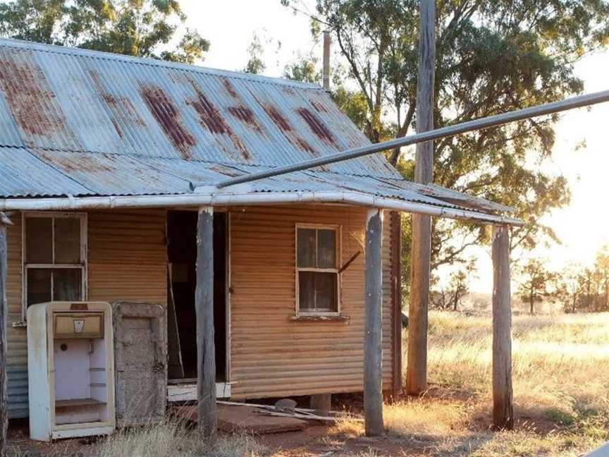 Outback Lamb, Tullamore, NSW