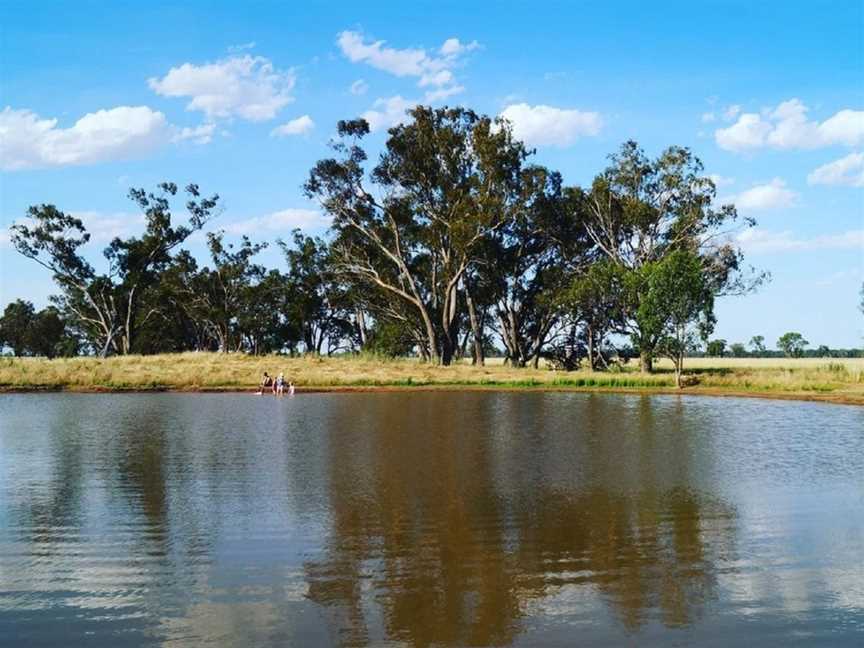 Outback Lamb, Tullamore, NSW