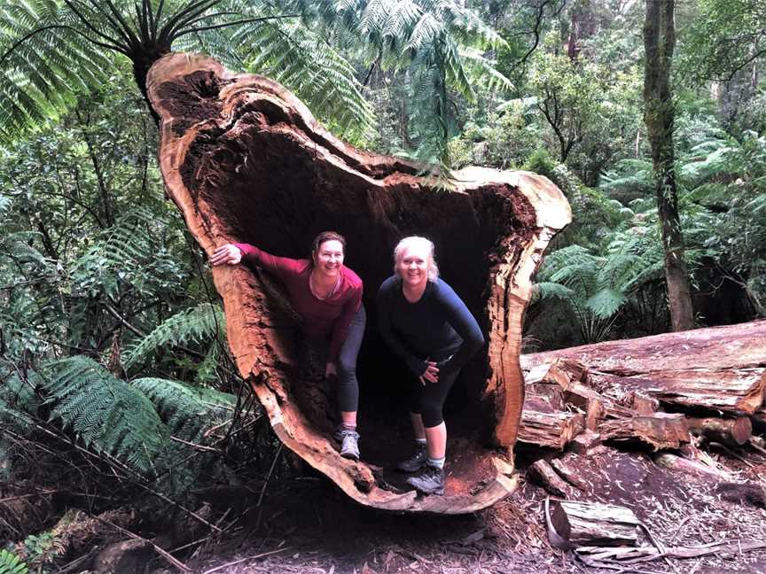 AllTrails Bicycle and Walking Tours - Great Ocean Road, Port Campbell, VIC