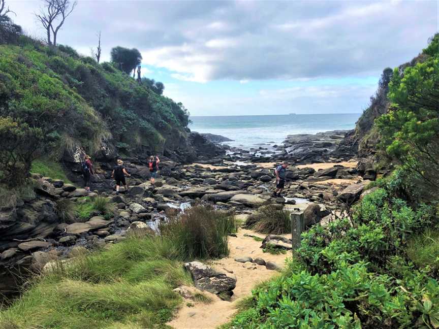 AllTrails Bicycle and Walking Tours - Great Ocean Road, Port Campbell, VIC