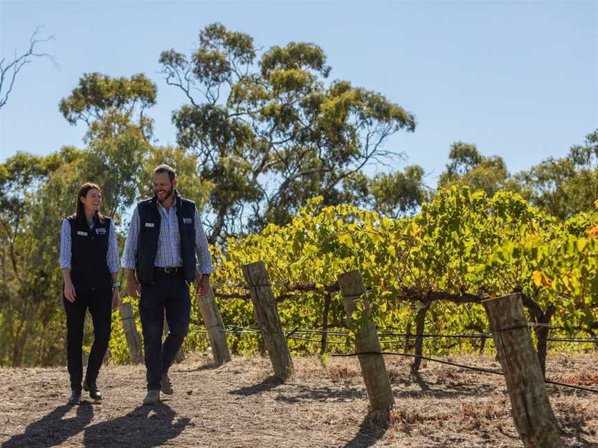 Intimate Tasting Experience with the Winemaker - Sussex Squire Wines Clare Valley, Gillentown, SA