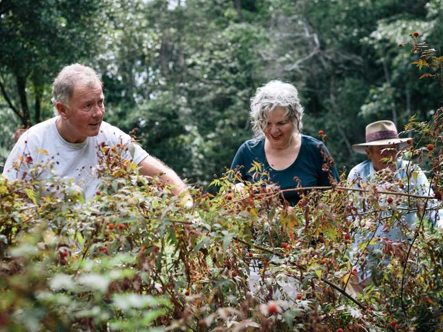 Cape Byron Gin Tasting Tour, Byron Bay, NSW